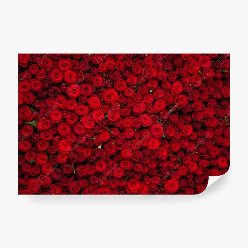 Fototapete endlose wand aus roten rosen