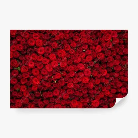 Fototapete endlose wand aus roten rosen – Pixers®