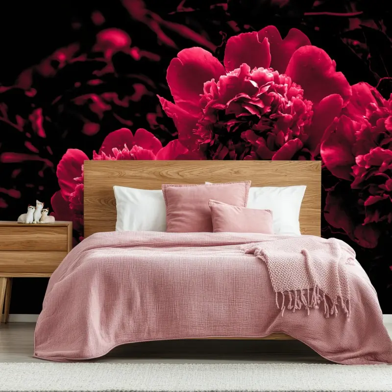 Fototapete stimmungsvolle rosa pfingstrosen