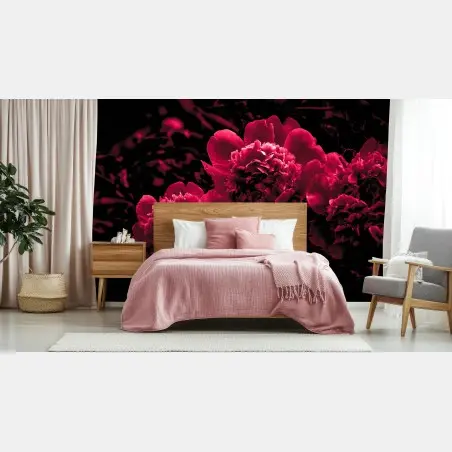 Fototapete stimmungsvolle rosa pfingstrosen – Pixers®