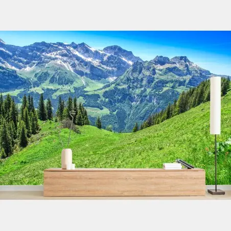 Fototapete alpine panorama über Engelberg, Schweiz – Pixers®
