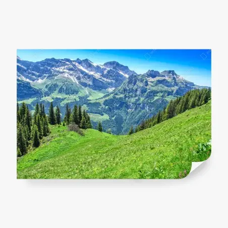 Fototapete alpine panorama über Engelberg, Schweiz – Pixers®