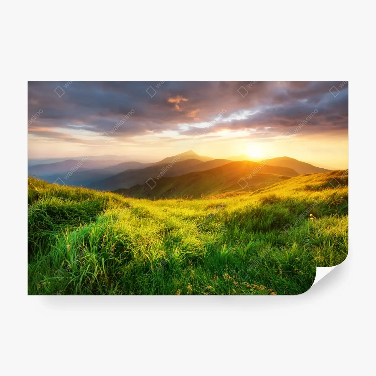 Fototapete sonnige bergwiese bei sonnenaufgang – Pixers®