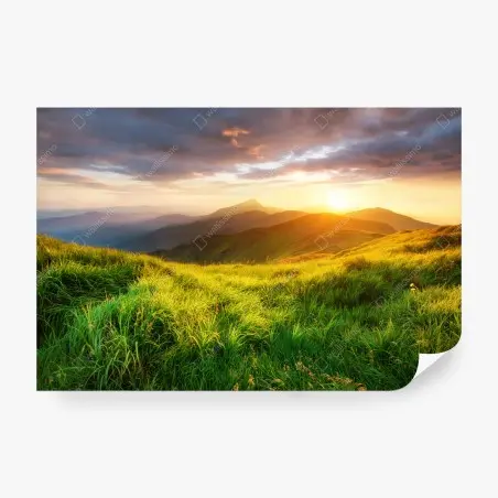 Fototapete sonnige bergwiese bei sonnenaufgang – Pixers®