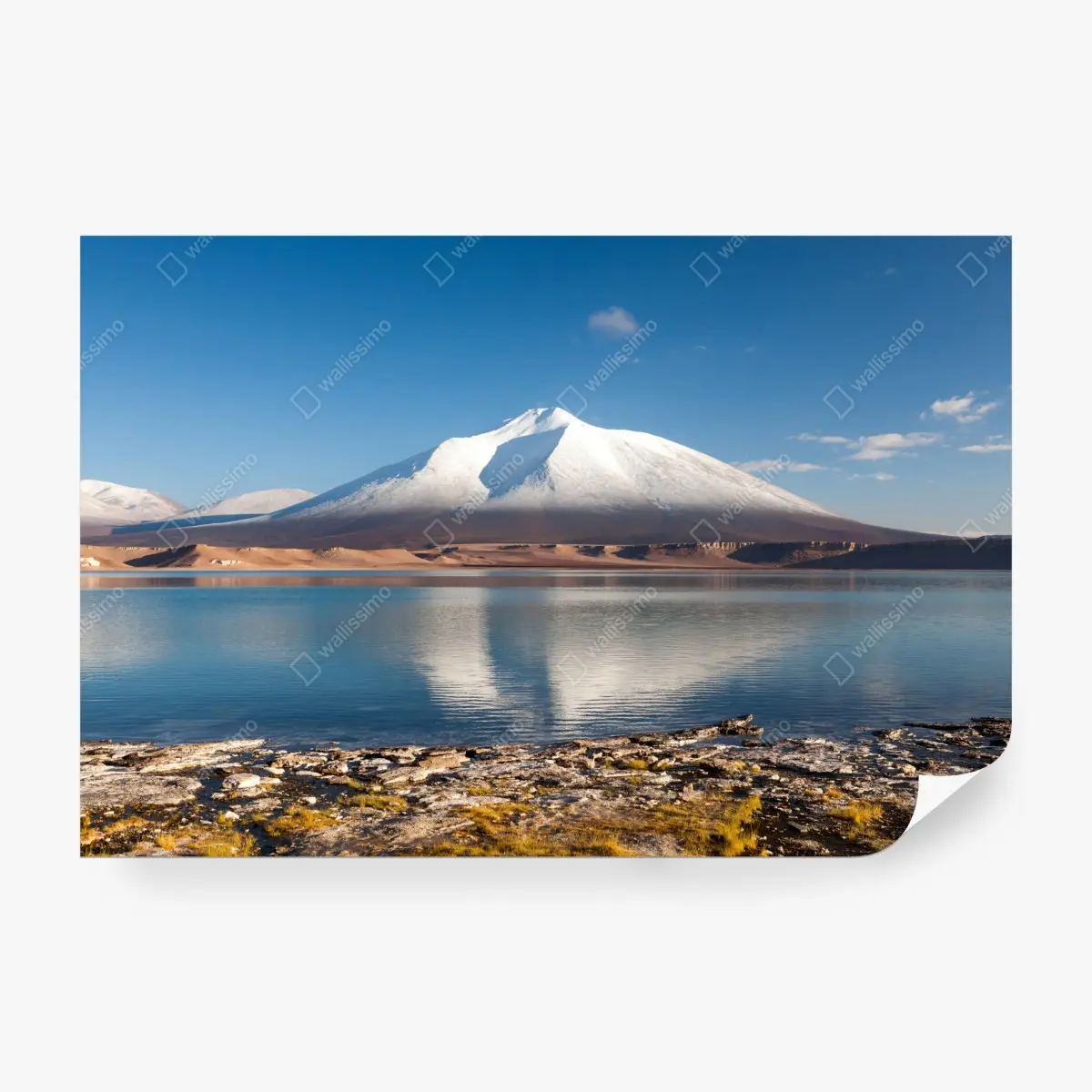 Fototapete Laguna Verde spiegelung in Atacama – Pixers®