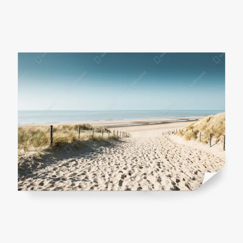 Fototapete sanddünen und ruhige Nordsee bei Noordwijk