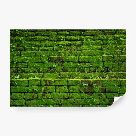 Fototapete üppige moosbedeckte ziegelwand – Pixers®