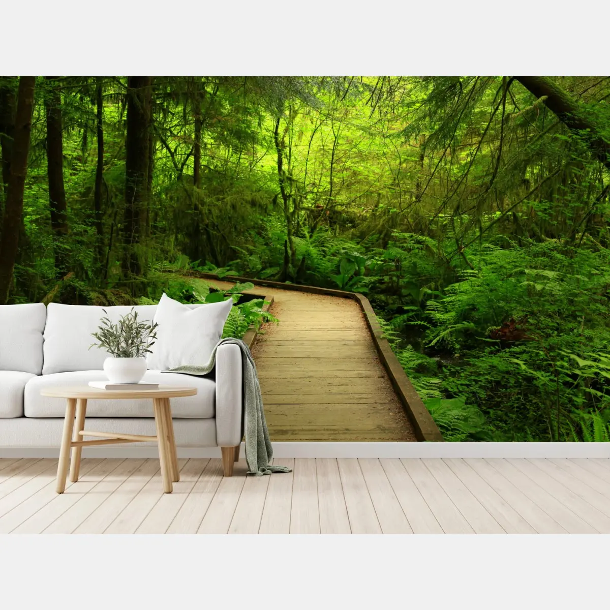 Fototapete ruhiger grüner waldsteg – Pixers®
