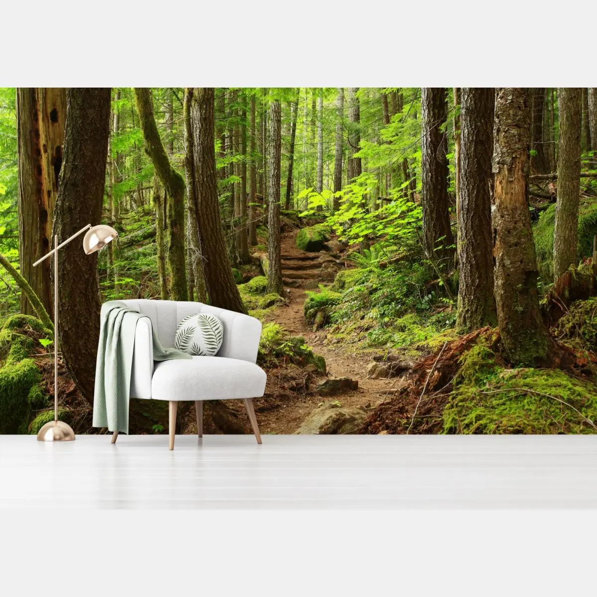 Fototapete moosiger waldpfad – Pixers®