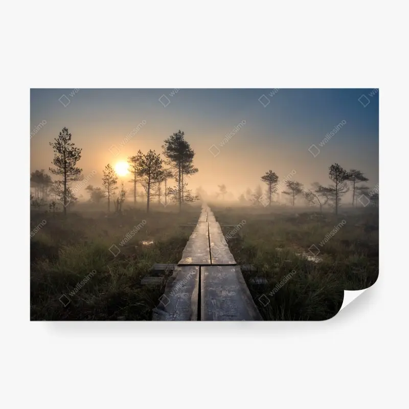 Fototapete nebliger sonnenaufgang über dem holzsteg
