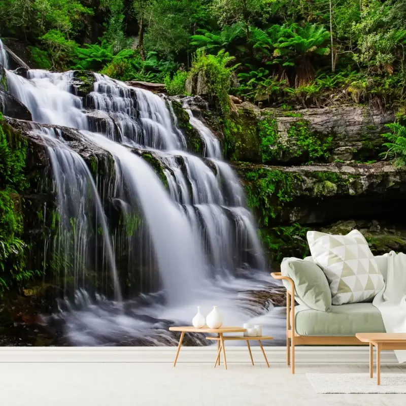Fototapete wasserfall Liffey Falls im üppigen Regenwald von Tasmanien