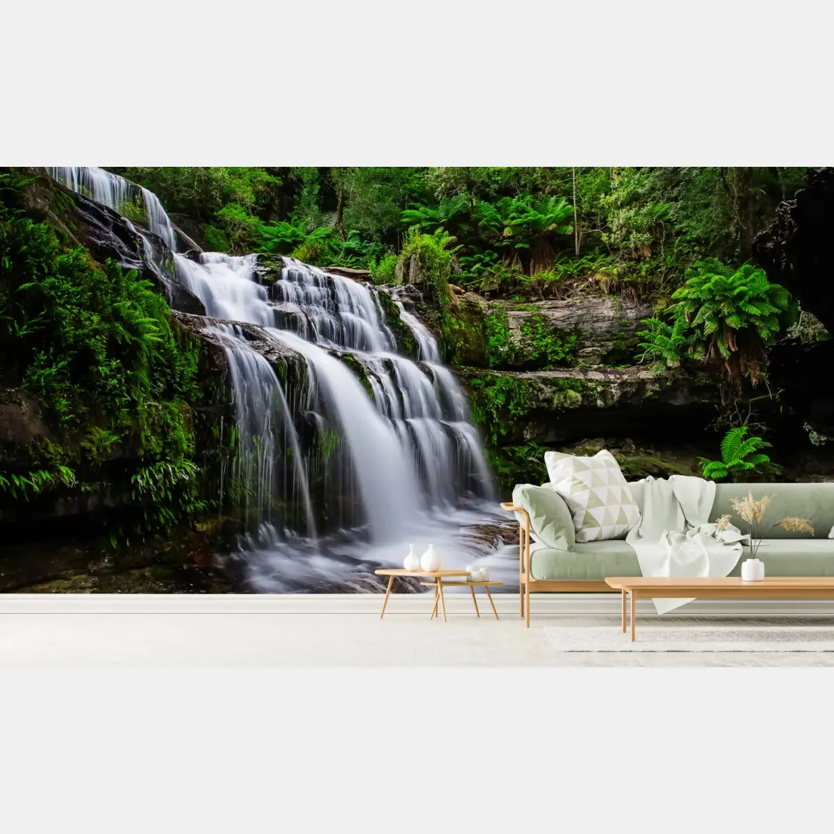 Fototapete wasserfall Liffey Falls im üppigen Regenwald von Tasmanien – Pixers®