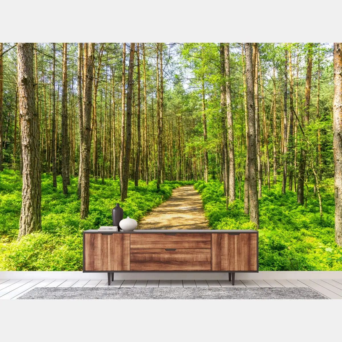 Fototapete sonniger waldweg zwischen kiefern – Pixers®