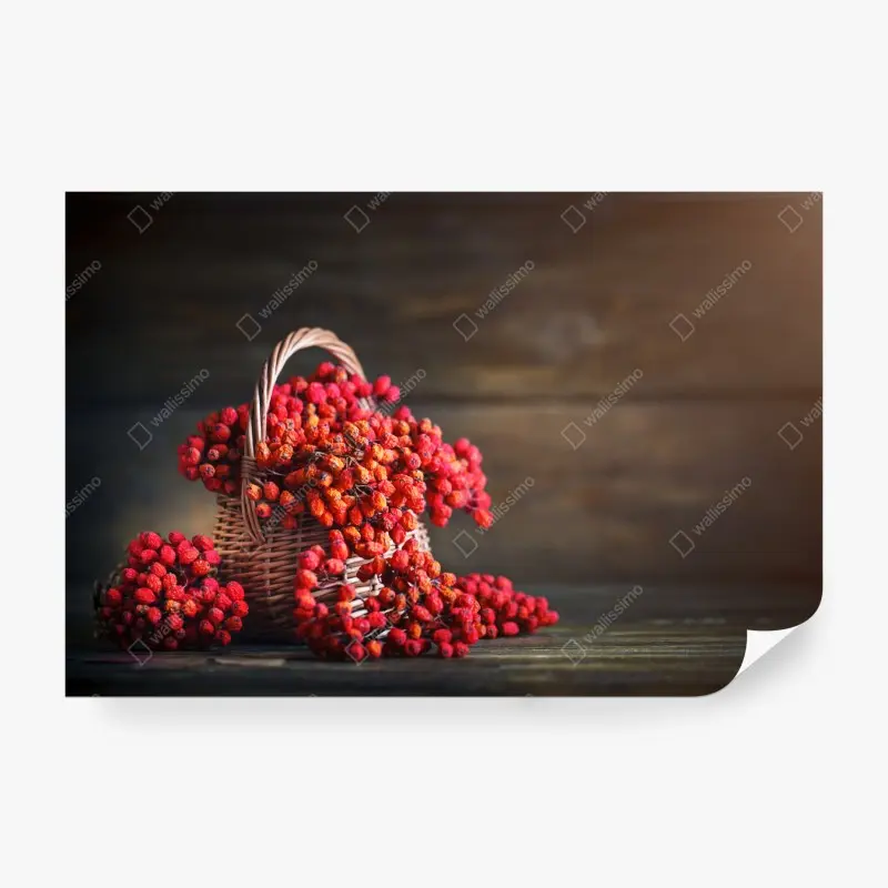Fototapete herbstliche vogelbeeren im weidenkorb