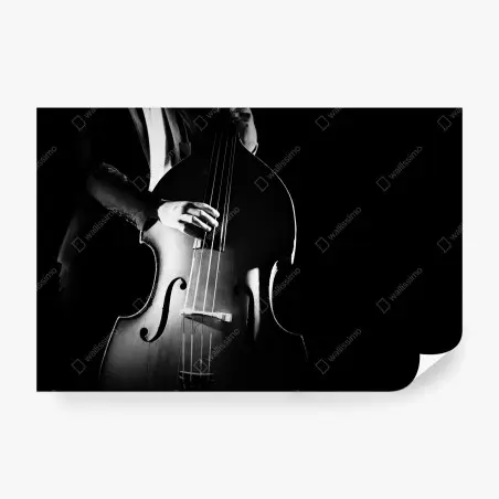 Fototapete kontrabassist im dramatischen licht – Pixers®
