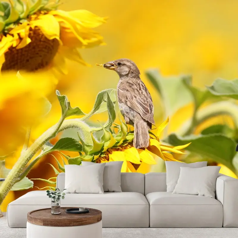 Fototapete spatz auf einer sonnenblume
