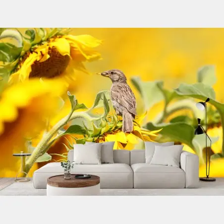 Fototapete spatz auf einer sonnenblume – Pixers®