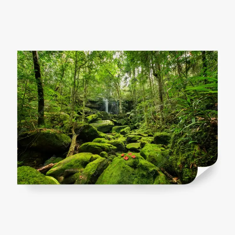 Fototapete üppiger moosbewachsener wasserfall im tropischen wald