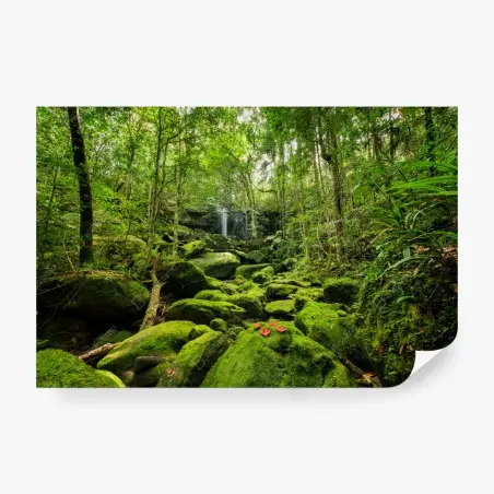 Fototapete üppiger moosbewachsener wasserfall im tropischen wald – Pixers®