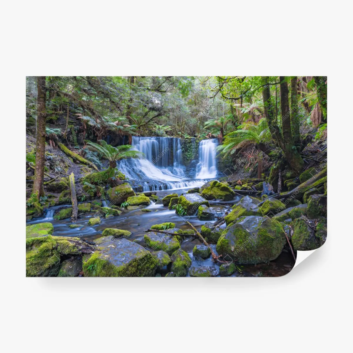 Fototapete friedlicher waldwasserfall – Pixers®