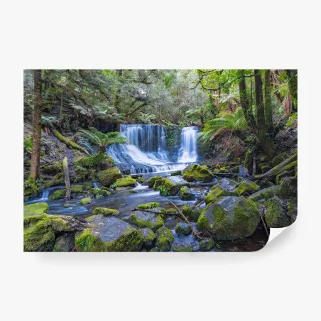 Fototapete friedlicher waldwasserfall – Pixers®