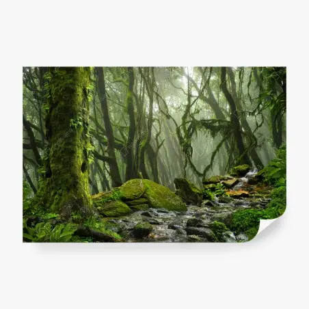 Fototapete moosiger wald mit bach im nebel – Pixers®