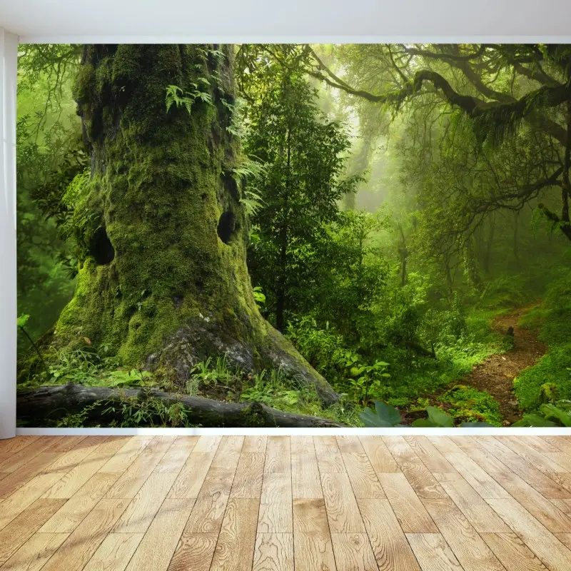 Fototapete moosiger alter waldpfad