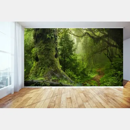 Fototapete moosiger alter waldpfad – Pixers®