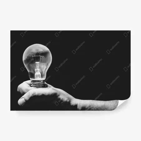 Fototapete monochrome hand hält glühbirne – Pixers®