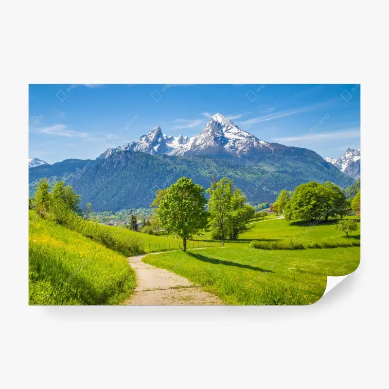 Fototapete ruhige alpenwiese mit berggipfeln