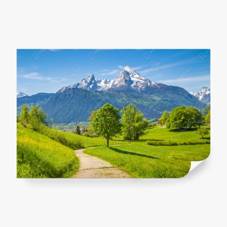 Fototapete ruhige alpenwiese mit berggipfeln – Pixers®