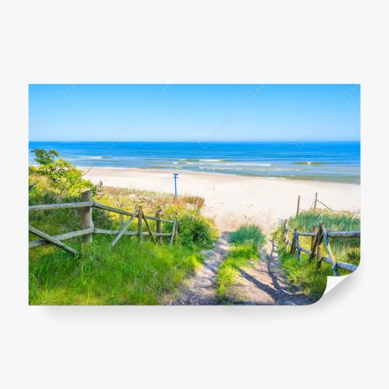 Fototapete weg zum strand der Ostsee