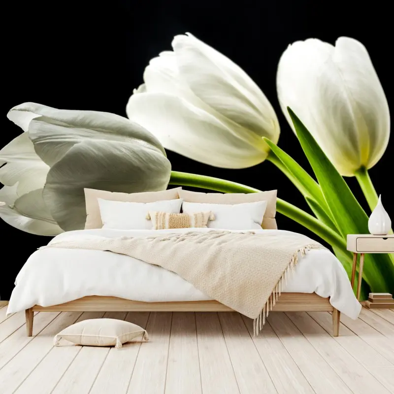 Fototapete elegante weiße tulpen vor schwarzem hintergrund