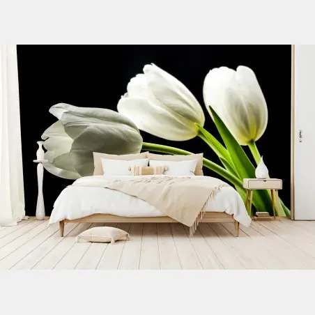 Fototapete elegante weiße tulpen vor schwarzem hintergrund – Pixers®