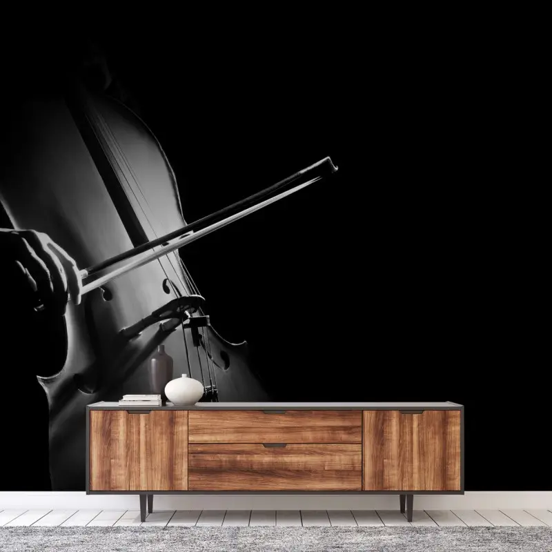 Fototapete elegantes cello in monochrom