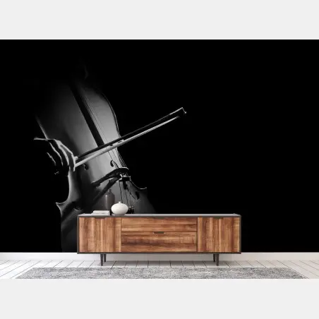 Fototapete elegantes cello in monochrom – Pixers®