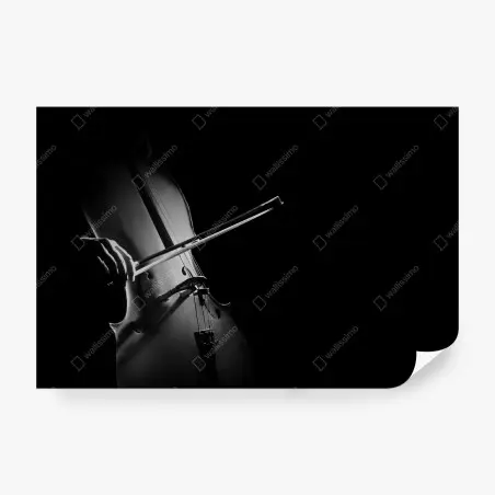 Fototapete elegantes cello in monochrom – Pixers®