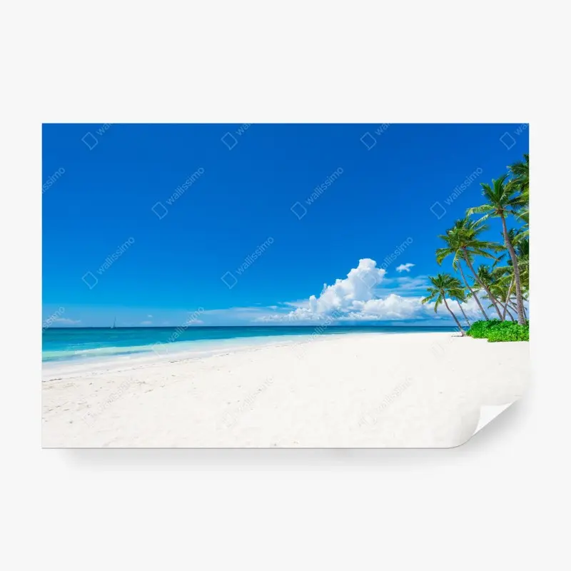 Fototapete tropischer strand mit palmen