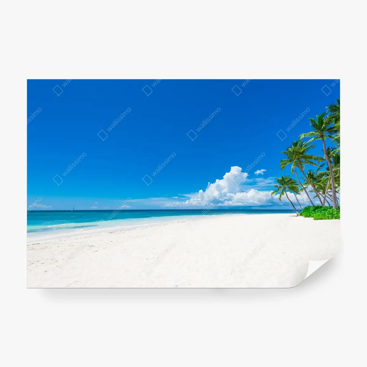 Fototapete tropischer strand mit palmen – Pixers®