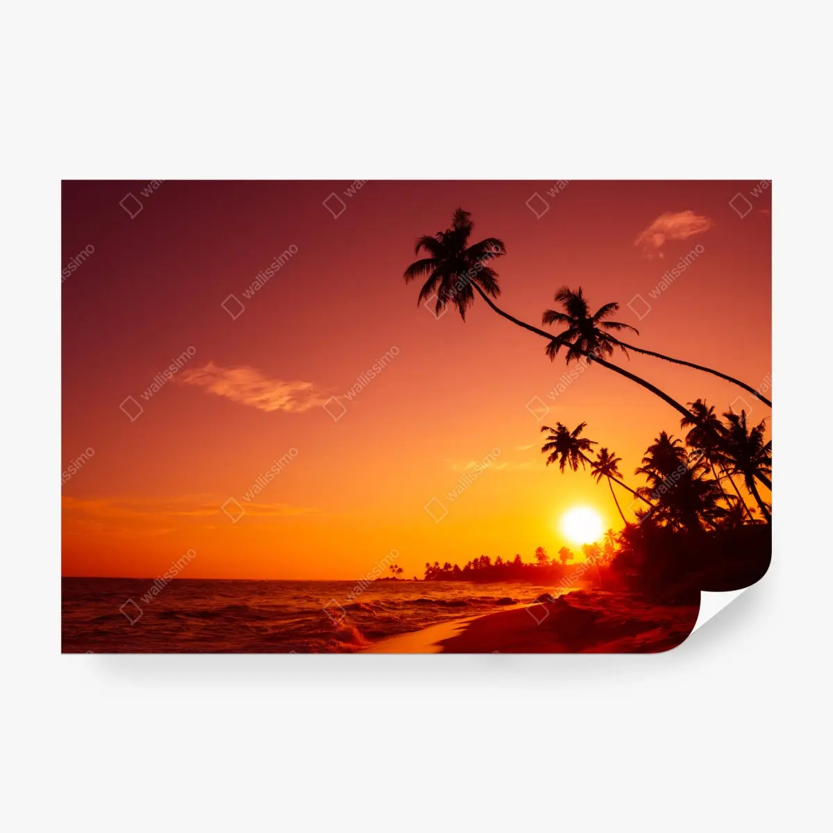 Fototapete tropischer sonnenuntergang am strand – Pixers®