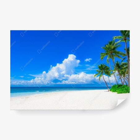 Fototapete tropischer palmenstrand unter blauem himmel – Pixers®