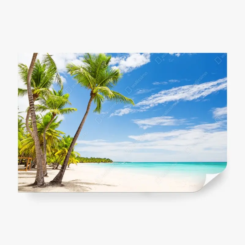 Fototapete palmenstrand in Punta Cana