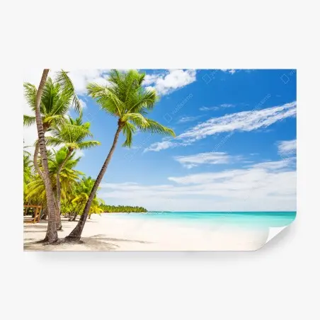Fototapete palmenstrand in Punta Cana – Pixers®