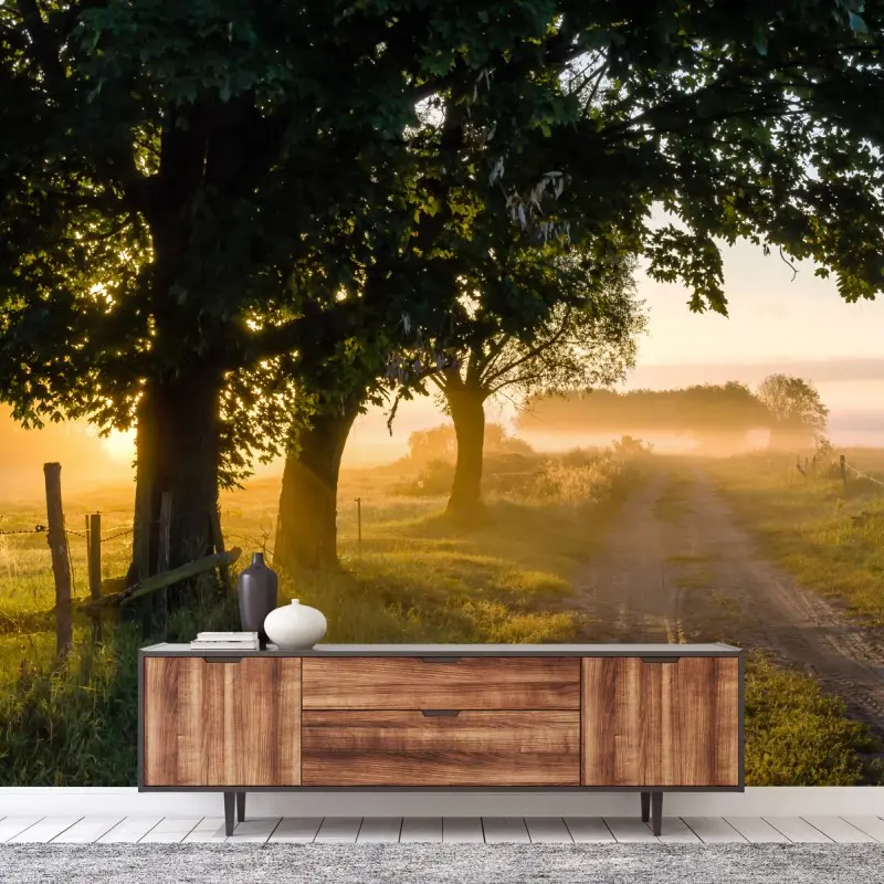 Fototapete sonnenbeschienener landweg im morgendunst