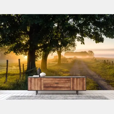 Fototapete sonnenbeschienener landweg im morgendunst – Pixers®