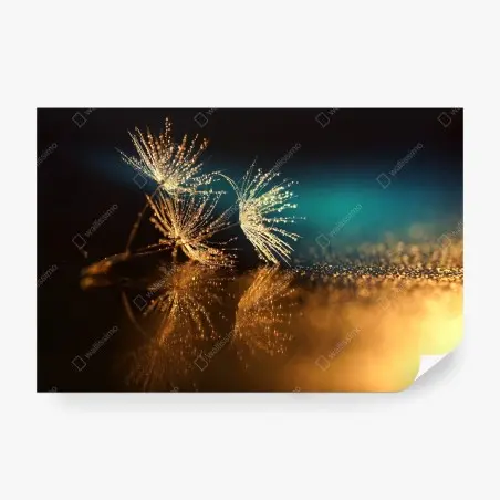 Fototapete goldene reflexion von löwenzahnsamen – Pixers®