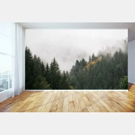 Fototapete nebliger bergwald im dunst – Pixers®