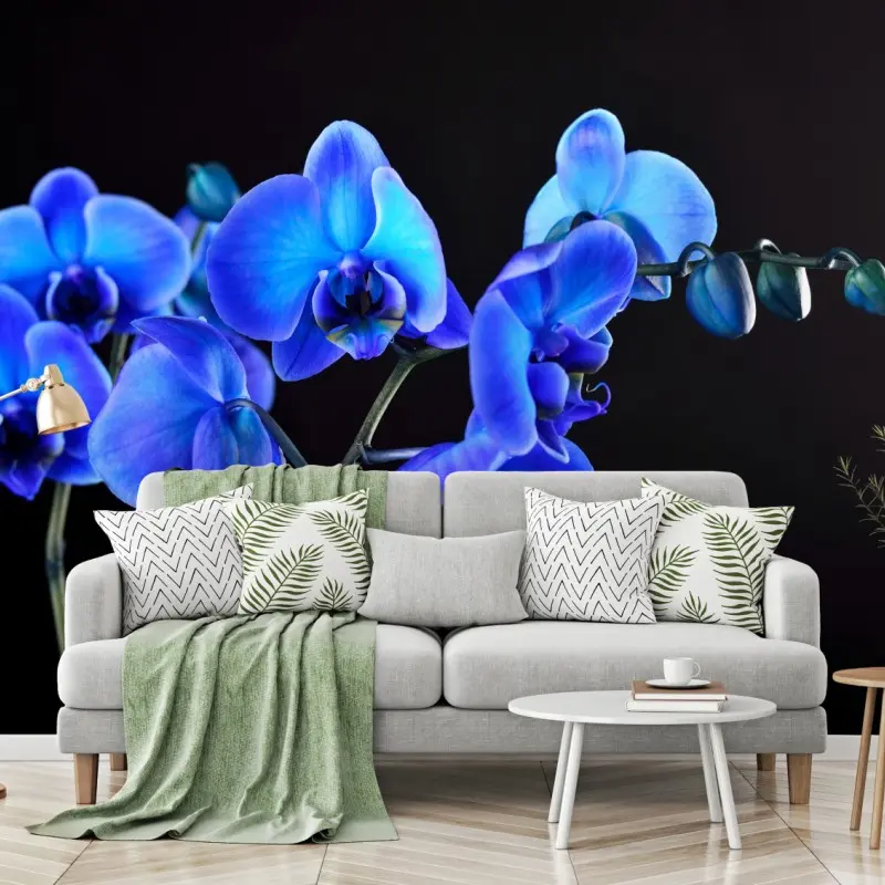 Fototapete leuchtende blaue orchidee vor schwarzem hintergrund