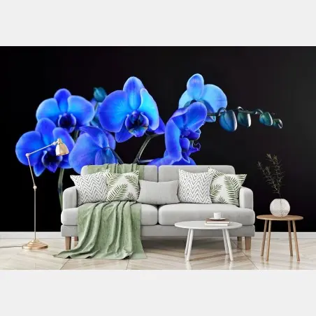 Fototapete leuchtende blaue orchidee vor schwarzem hintergrund – Pixers®