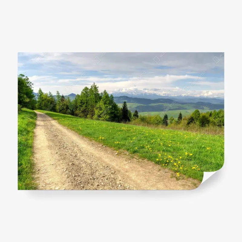 Fototapete Gorce frühlingspfad